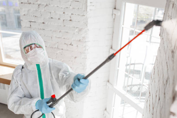 Best Biohazard Mold Removal  in Warm Mineral Springs, FL